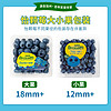 88VIP：DRISCOLL'S/怡颗莓 Driscoll's 怡颗莓当季蓝莓4盒装 单盒125g新鲜水果好品牌新鲜