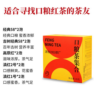 凤宁号云南凤庆滇红茶包2024新茶花果蜜香红茶散茶叶小袋试饮装试喝茶样 口粮茶集合装