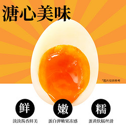 CHUJI 初吉 溏心蛋流心鸡蛋400g/盒熟食即食卤蛋速食可生食蛋源
