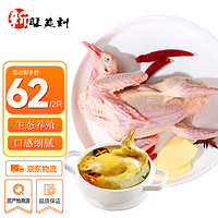 新旺美刻 源头直发 乳鸽350g-400g/2只 独立装 冷冻卤烤鸽子肉煲汤食材