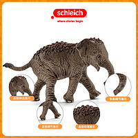 百亿补贴：Schleich 思乐 动物模型儿童野生动物仿真模型玩具非洲小象14763