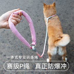 hipidog 嬉皮狗 狗狗梦幻渐变P绳防爆冲训犬狗P链中大型犬牵引绳耐拉扯防挣脱用品