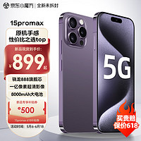 【】Phone15 Pro 5G手机