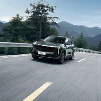 GEELY AUTO 吉利汽车 博越L 24款 2.0T 智驾版