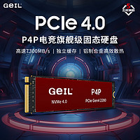 GeIL 金邦 P4P 游戏高性能版 SSD固态硬盘 4TB 独立缓存 PCI-E4.0