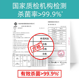 黎漾消毒湿巾棉片75%酒精湿巾儿童便携杀菌湿巾家用办公湿纸巾 （20包/共200抽）贈60ml洗手液 10抽/包