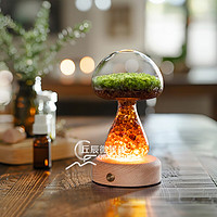 丘辰 苔藓微景观生态瓶办公室内桌面摆件DIY创意绿植盆栽生日礼物 有光菇菇（底座灯）