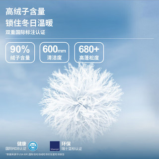 波司登春秋轻薄羽绒服女连帽简约修身90绒连帽百搭保暖外套B30131002 雪山渐变9T37 175/96A