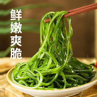 赶海弟GANHAIDI海带丝新鲜盐渍海带丝凉拌菜非裙带菜干货海产火锅源头直发 盐渍海带丝250g