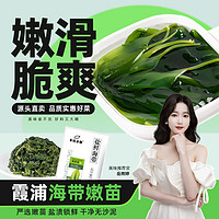 不吃小鱼 霞浦盐渍海带苗500g 新鲜嫩苗火锅凉拌菜煮汤 源头直发