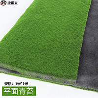 JNL 捷诺立 N98803仿真绿色青苔微景观造景装饰草皮 平面
