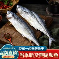 水味源淡晒鲅鱼干货青岛甜晒鲅鱼风干鱼干不咸燕尾马鲛鱼山东特产一卤鲜 半干鲅鱼一条约2.5斤