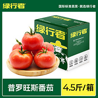 GREER 绿行者 普罗旺斯番茄4.5斤新鲜西红柿沙瓤多汁生吃自然熟水果