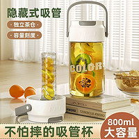 HLK 水杯女大容量食品级吸管杯男女款便携防摔泡茶杯子