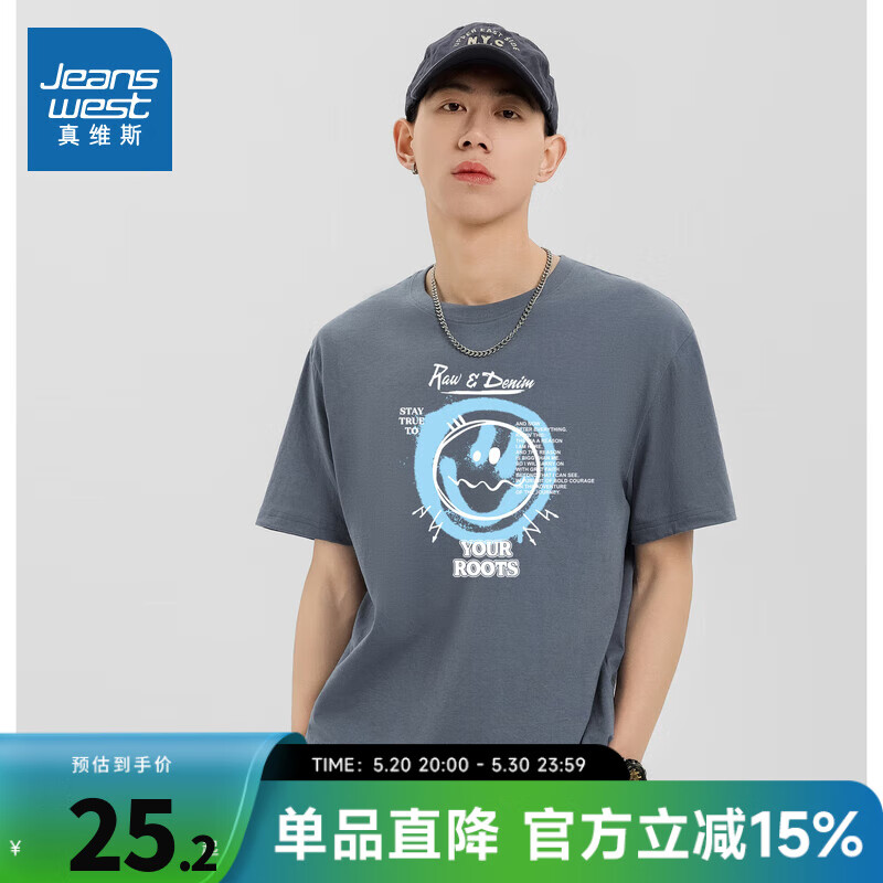 灰蓝2690