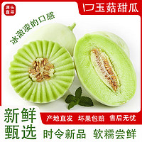 鲜里爽  冰淇淋玉菇甜瓜 净重9斤装