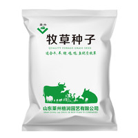 美外 牧草种子 四季收割  甜高粱抗旱高产畜牧养殖 玉米草1斤