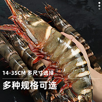 88VIP：首鲜道 黑虎虾超大新鲜鲜活虎特大速冻海鲜斑竹节