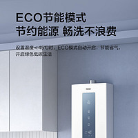 Haier 海尔 燃气热水器 13L 双核无极水伺服-PD5