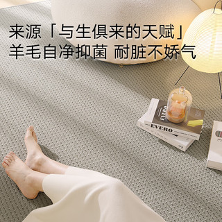 大江 DAJIANG地毯客厅 60%羊毛地毯卧室大面积轻奢 沙发茶几免洗抗污240x340cm 浅栗咖