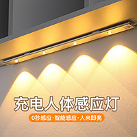 以典 led【可用366天】人体感应灯带充电无线自粘猫眼波纹灯条 40CM黑色