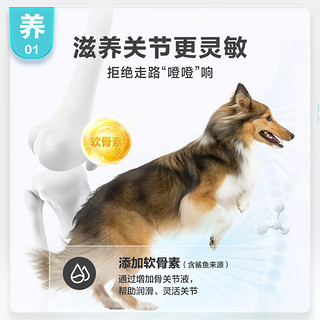 NOURSE 卫仕 犬用鲨鱼软骨素粉剂日护版60g 软骨素狗狗钙片德牧泰迪金毛幼犬钙粉大型犬关节保护健骨补钙 