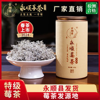 古湘溪莓茶 龙须芽尖霉茶张家界野生莓茶 含硒恩施藤茶湘西永顺土家族 春茶【特级莓茶】100克 1罐 金色