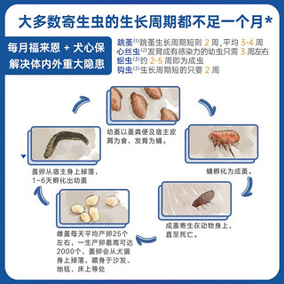 福来恩（FRONTLINE）驱虫药狗狗体内体外去除跳蚤蜱虫套装 大型犬滴剂2.68ml*1支+犬心保L号1粒