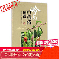 岭南中草药图谱中国医药科技出版社