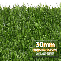CCGrass 共创草坪足球50平2*25m整卷大面积市政庭院仿真绿假草皮幼儿园