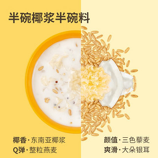 好麦多 燕麦生椰啵啵0添加蔗糖液体即食早餐轻卡甜品饱腹代餐下午茶 豆乳*1盒+生椰*1盒