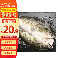 DIAOYUJI 钓鱼记 叉尾鮰鱼 500g-650g