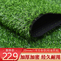 板谷山 仿真草坪人造假草皮地毯室外户外阳台塑料假草皮草坪垫 20mm
