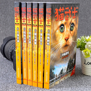 猫武士首部曲 · 预言开始 · 全6册套 课外阅读 暑期阅读 课外书