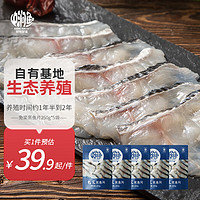 中润鱼 冷冻 中段免浆黑鱼片250g*5袋 酸菜鱼 健康轻食 源头直发 包邮