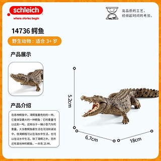 思乐（Schleich S）仿真动物模型鳄鱼14736 巨蜥鸭嘴兽蝎子鬣蜥爬行动物昆虫儿童玩具 鳄鱼玩具14736