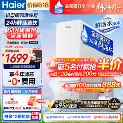 Haier 海尔 玉净鲜活水净水器家用净水机1000G大通量双出水厨下式RO反渗透直饮过滤器HRO10H99