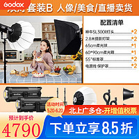 Godox 神牛 SL300WII三代补光灯LED摄影灯 SL300W三代两灯套装(单球+单箱)