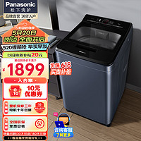 Panasonic 松下 波轮8公斤洗衣机全自动洗 XQB80-U8VA