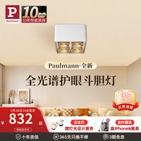 Paulmann P德国柏曼护眼斗胆灯全光谱防眩明装射灯客厅无主灯照明筒灯 4000K<45°明装【规格 参数 品牌 图片】-什么值得买