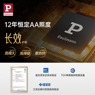 Paulmann P 柏曼护眼钢琴灯Tiemann 国AA级练琴灯儿童钢琴台灯LED智能