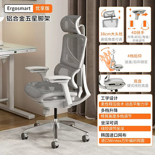 Ergosmart优享版 人体工学椅 铝合金五星脚架+灰框银白色网布