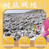 袁隆平 隆平芯米东北晶米5kg珍珠米东北大米盘锦粳米10斤真空2023年新米