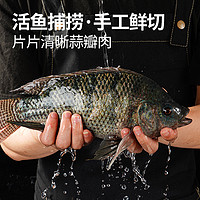 88VIP：大希地 黑椒罗非鱼排鱼柳煎油炸黑椒鲷鱼排（罗非鱼排）100g*6