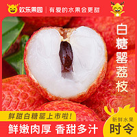 百亿补贴：Joy Tree 欢乐果园 广东茂名高州白糖罂荔枝4.5斤新鲜现摘应季水果正宗