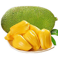 百果捞铺子 海南黄肉菠萝蜜整个 新鲜热带时令水果 生鲜干苞当季水果 黄肉菠萝蜜 15-20斤/1个