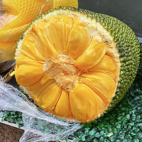 Kaooseen 靠森 海南黄肉菠萝蜜  17-20斤/1个