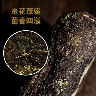 湖南安化黑茶自然生长金花茯砖益生菌20g/罐