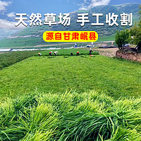 牛寵 提摩西草新草牛寵烘干提草兔子糧食毛重1kg荷蘭豬草料甘肅兔干草