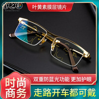 宫之彩远近两用老花镜男时尚半框款高清防蓝光老人超轻看远看近走路开车 250度/60-64岁